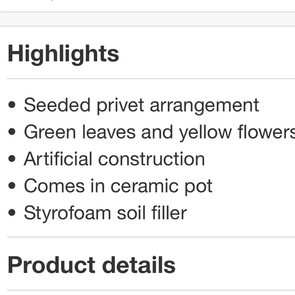 STUDIO MCGEE NWT privet seeded potted faux arrangement -17”
